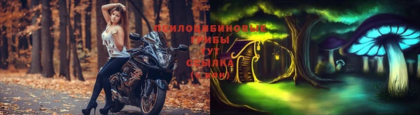 дистиллят марихуана Магас