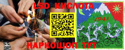 ПСИЛОЦИБИНОВЫЕ ГРИБЫ Дубна