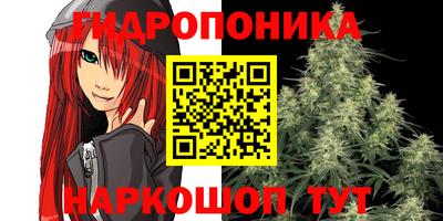 Альфа ПВП Бузулук