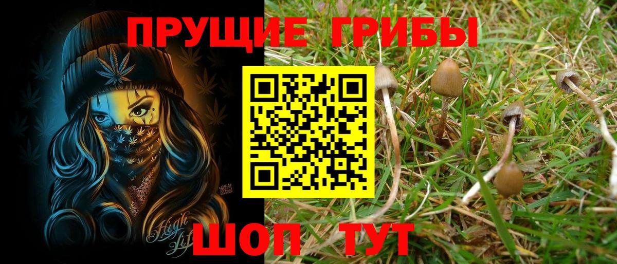 Прокопьевск  Псилоцибиновые грибы мухоморы  Вход с VPN 