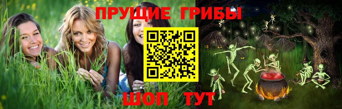 Псилоцибиновые грибы прущие грибы Прокопьевск
